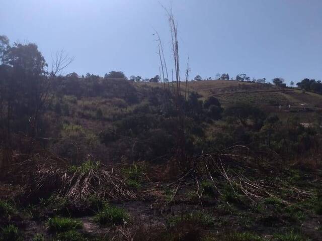 Área para Venda em Jarinu - 4
