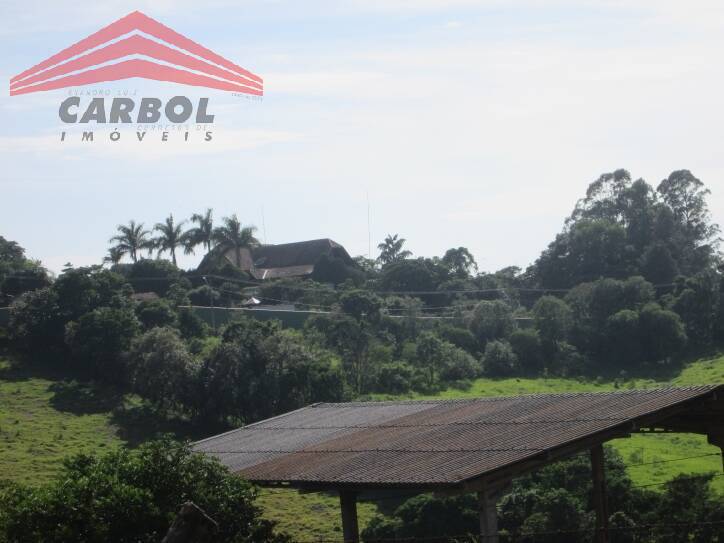 Terreno, 4 hectares - Foto 3