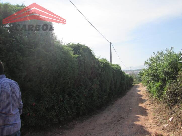 Terreno, 4 hectares - Foto 4