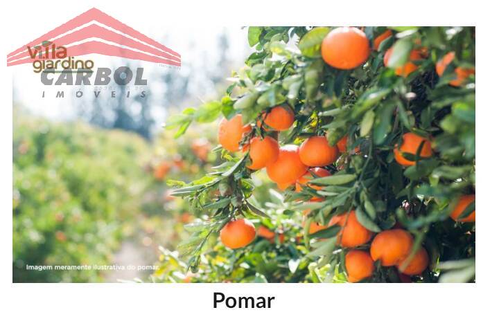 Terreno à venda, 225m² - Foto 8