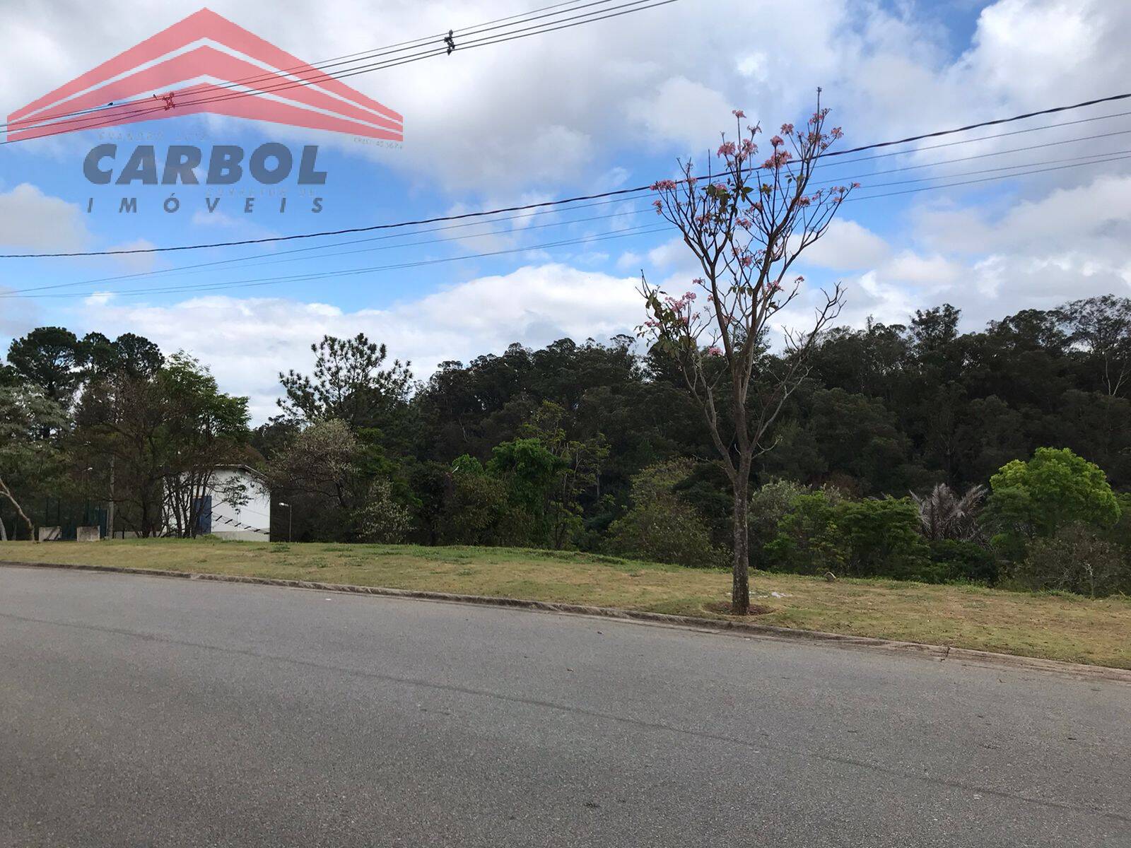 Terreno, 494 m² - Foto 7