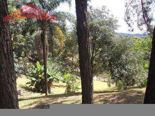 Sítio, 3 quartos, 3800 m² - Foto 2