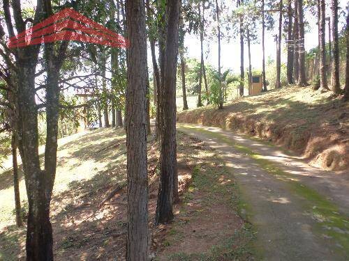 Sítio, 3 quartos, 3800 m² - Foto 4