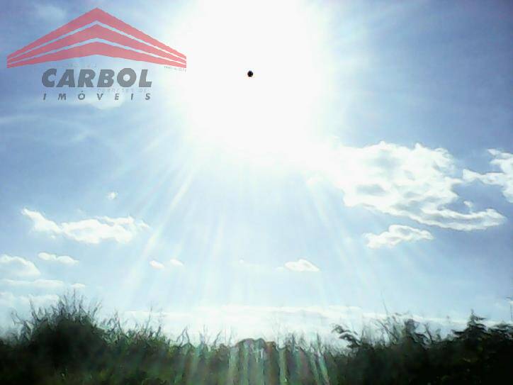 Sítio, 4 quartos, 800 m² - Foto 4