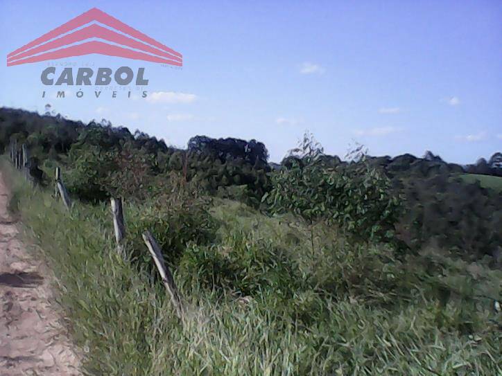 Sítio, 4 quartos, 800 m² - Foto 2