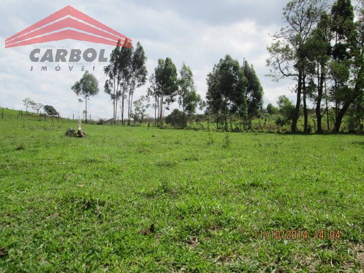 Chácara à venda com 3 quartos - Foto 3