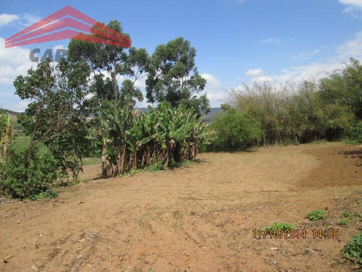 Chácara à venda com 3 quartos - Foto 7